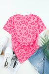 5f462b953cfd4d30b3cb6d9d82cdb280-Max