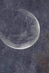 7778b547-f485-46bc-b016-ff7d64c59099-Max-Origin
